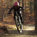 Kin - @quinn__evans - Instagram