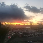 Quinn Fleming - @quinnfleming81 - Instagram