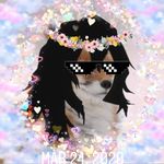 Quinn or Fox - @randofox - Instagram
