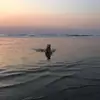 Quinn - @quinnfox05 - TikTok