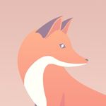 Quinn the Fox - @quinn_the_fox - Instagram