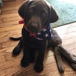 Gilbert Quinn - @gilbert_quinn_ - Instagram