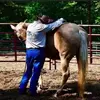 Hepler Horse Training - @heplerequine - TikTok