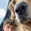 Quinn - @quinnhowell4 - TikTok