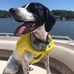 Quinn Sowell - Facebook