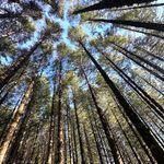 Quinn Young - @quinn_young_photos - Instagram