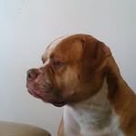 Quint Jackson - @jacksonquint - Instagram