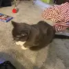 Quentin Gray - @quentin.gray5 - TikTok