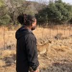 Quintin Gray Jr. DVM - @dr_graystone - Instagram