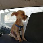 Quintin Harris - @quintin.harris.5 - Instagram