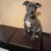Quintin Thomas - Facebook