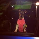 Quinton Bocklund - @quintonbocklund - Instagram