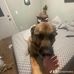 Quinton Bolin - Facebook