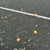 Quinton Boyd - @quinton.boyd1 - TikTok
