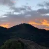 Q - @quinton.brown - TikTok