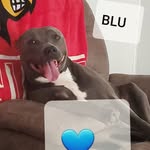 Quentin Burns - @whodeybengals1418 - Instagram