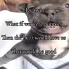 meow - @hunterquinton12 - TikTok