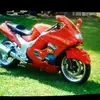 Quinton Ingram - @quinton.ingram - TikTok