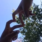 Quinton - @quinton_kings - Instagram