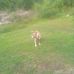 Quinton Mccoy - Facebook