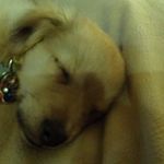 Quinton McCoy Andry Redmond - @quintonmccoyandry - Instagram