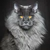 Quentin Murphy - @quentin.murphy4 - TikTok