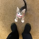 Quinton Murphy - @ironmaiden5222 - Instagram