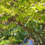 Quentin Murray - @qdkmurray423 - Instagram