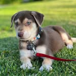 Quinton Rose - @theadventuresofquinton - Instagram