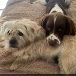 Quinton Ross - @quinton.ross.5268 - Instagram
