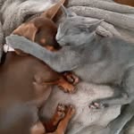 Quinton Ross - @ross.quinton - Instagram