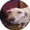 Quinton497 - @quinton.shaw - TikTok