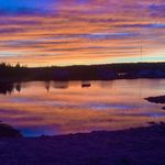 Quinton Simms - @muddycove - Instagram