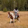 Quinton_Simpson - @quintonsimpson40 - TikTok