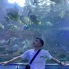 Quốc Ly🐬🐬 - @quoocly - TikTok