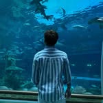 Mai Quốc Tuấn - @quoctuaniuem - Instagram