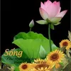 Quốc Tú - @user2839002035216 - TikTok