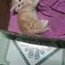 quyen_buii - @quyen_buii - TikTok