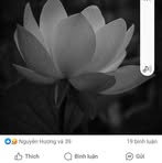Quyen Doan - Facebook