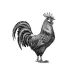 Rabarbergaarden Gården - @rabarbergaarden - Instagram