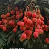 Raad Hasan - @raad.hasan71 - TikTok