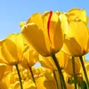 Rabab jafri - @rabab.jafri - TikTok