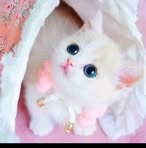 Rabia Abid - Facebook