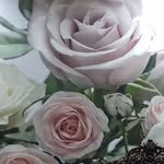 Rabia Badar - @theremmfamily - Instagram