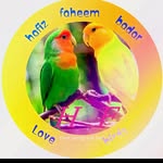 Rabia Badar - @rabia.badar.96 - Instagram