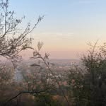 rabia cheema - @rabiacheema11 - Instagram
