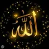 Rabia🥰cheema - @rabiacheema38 - TikTok