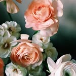 Rabia Omari - @rabiaomari62 - Instagram