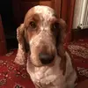 Rachel Bruce - @rachel_brucexox - TikTok
