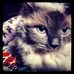 Rachel Cartwright - Facebook